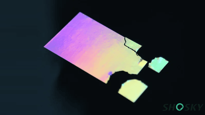 Hologram Destructible Label