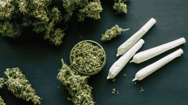 Cannabis