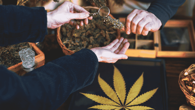 Cannabis Security