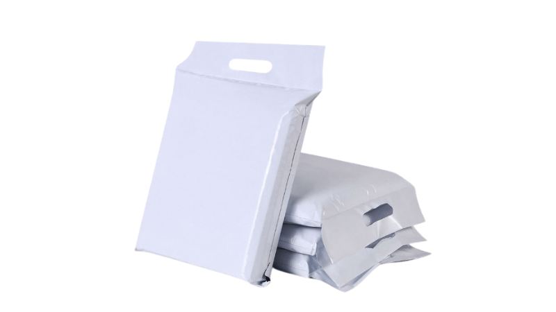  Store Payroll Bags After Distribution