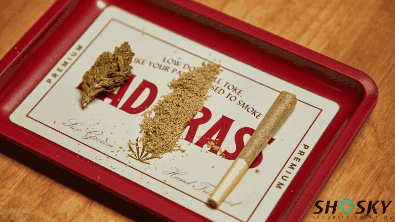 Presentation of the processing sequence of cannabis