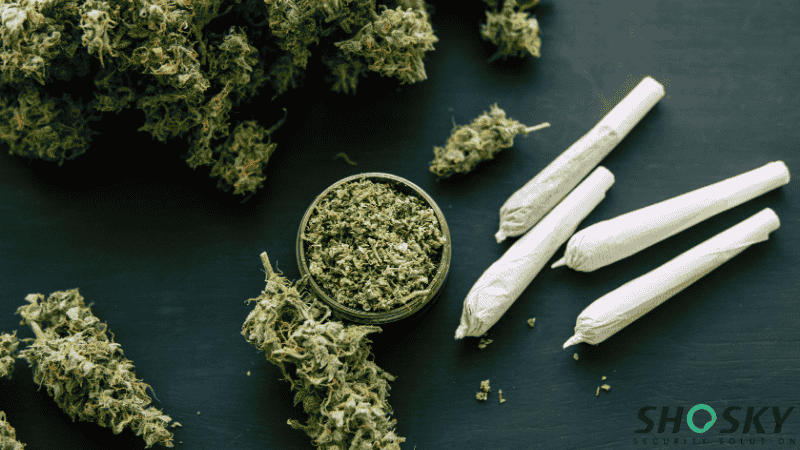 Cannabis raw materials and processed products
