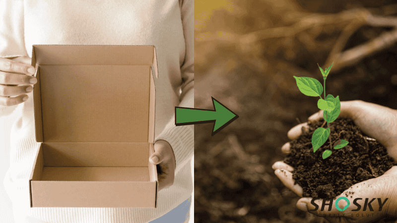 Visual metaphor: from packaging waste to greener future, with plant and box connection